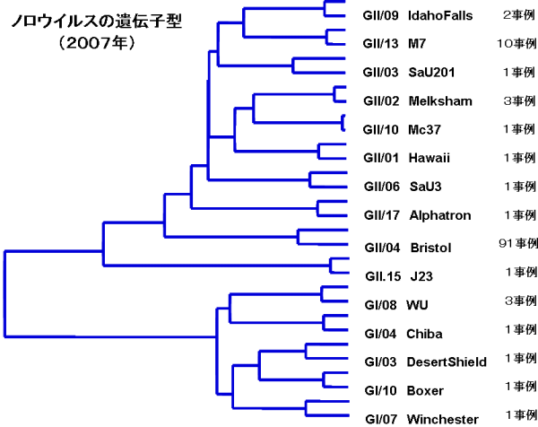 検出されたノロウイルスの遺伝子型の系統樹